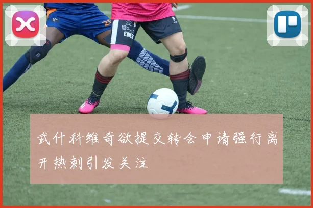 武什科维奇欲提交转会申请强行离开热刺引发关注